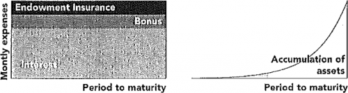 Endowment mortgage