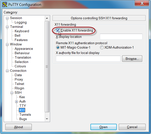 Enable X11 forwarding for SSH session